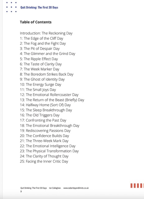 Table of Contents from Quit Drinking: The First 30 Days Book